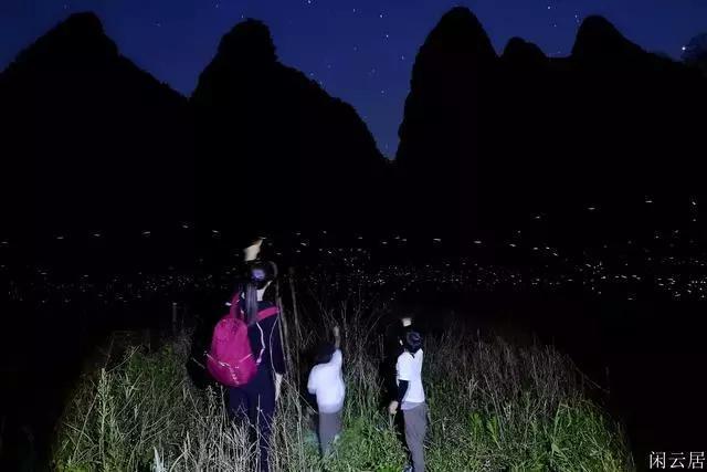 拯救铁笼中的小牛