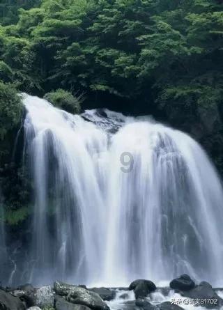 双球转动