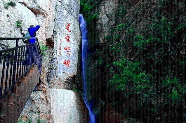 逃离大犀牛出没地